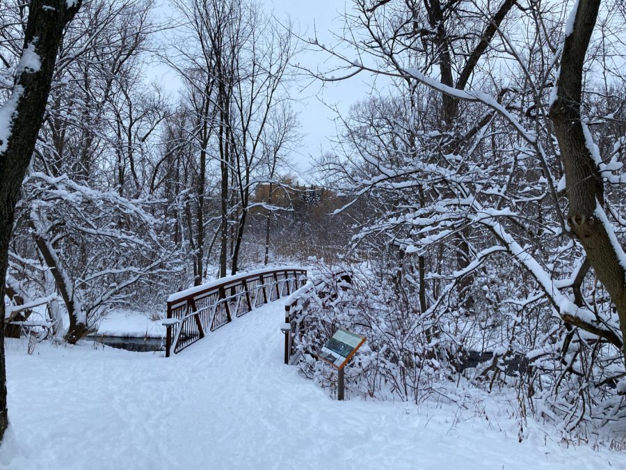 snow, bridge, winter, scene