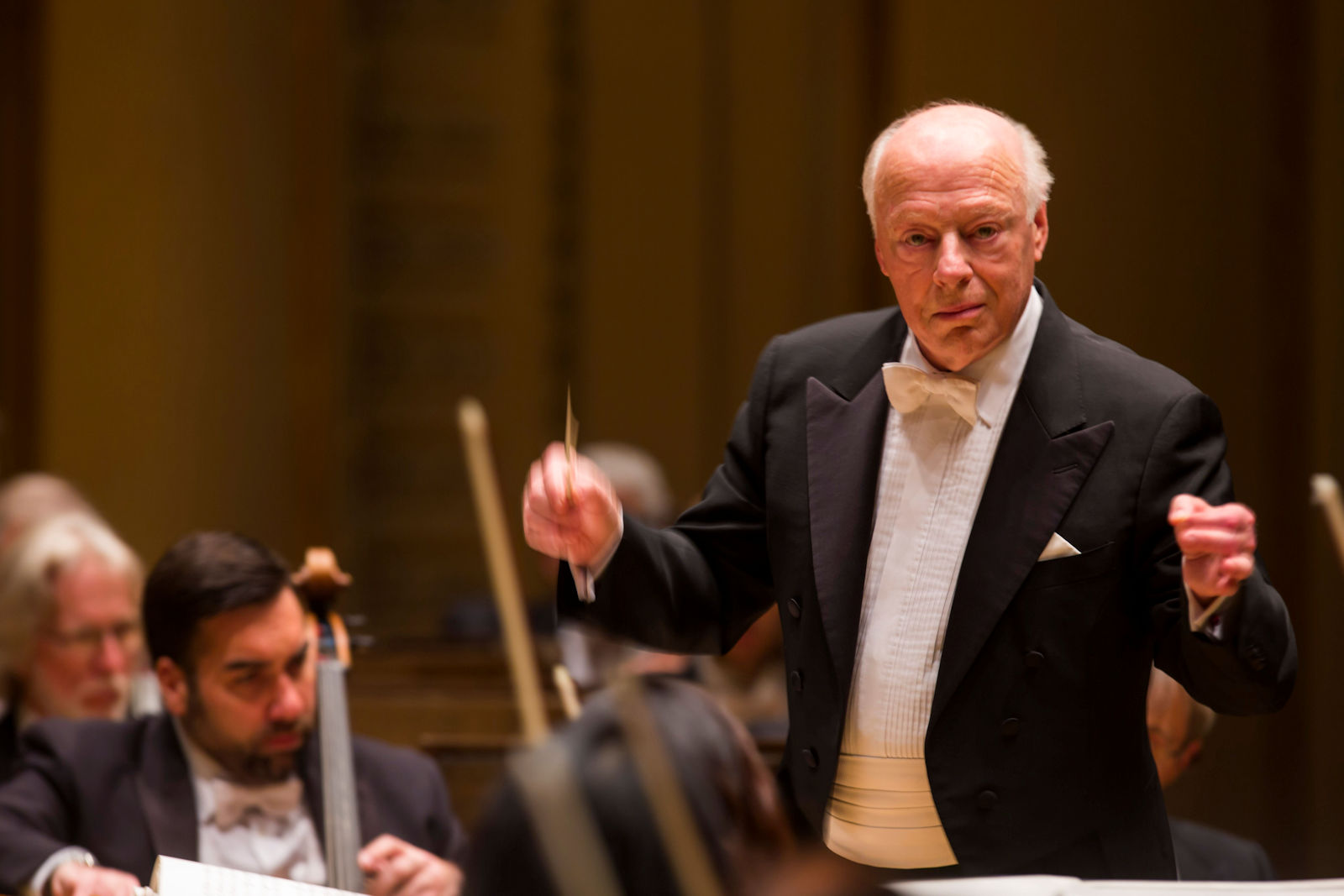 Bernard Haitink, conductor, orchestra, symphony, classical, performance, maestro