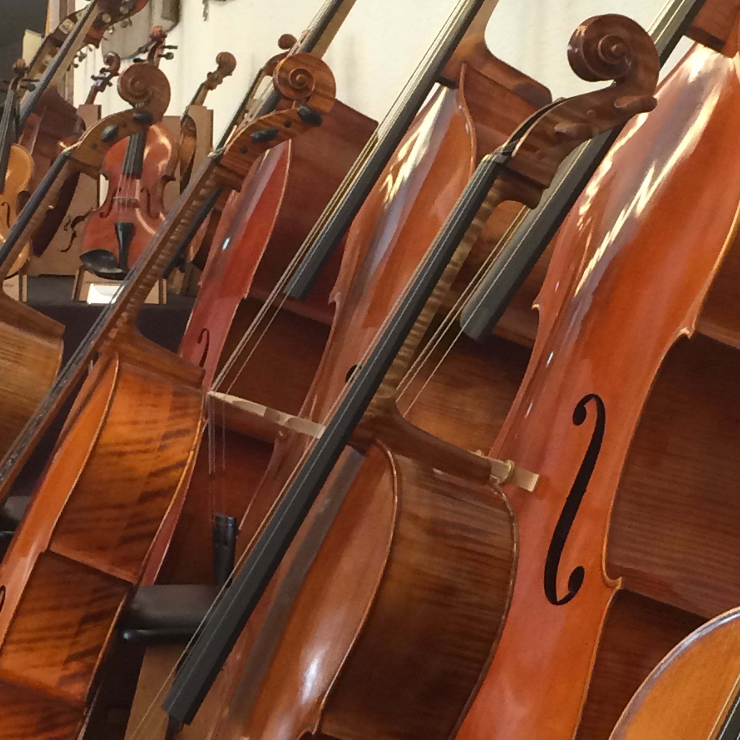 Sala Palatului, Bucharest, Romania, instruments, cello, classical, display, exhibition, music