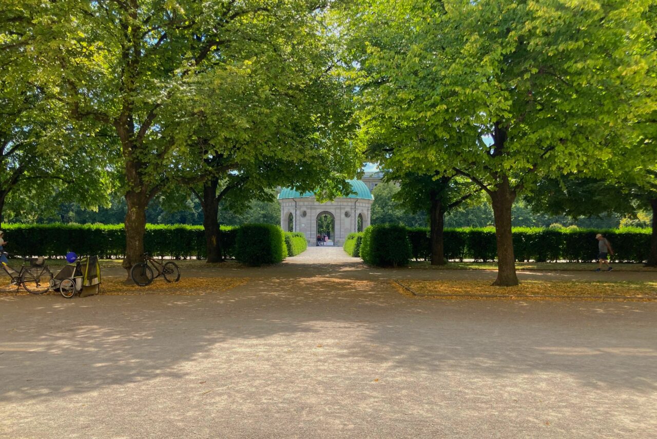 trees, nature, path