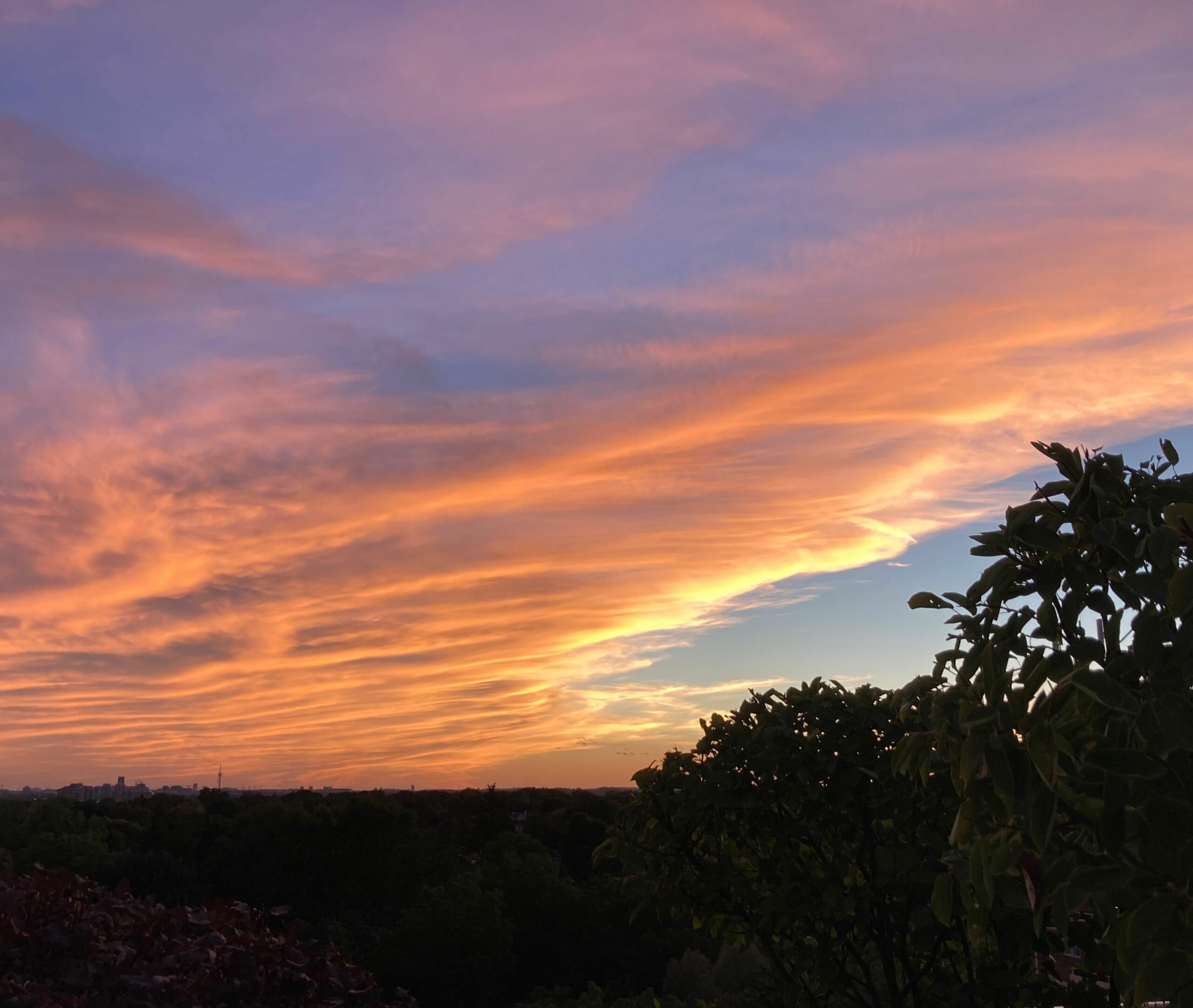 sky, autumn, September, colours, himmel, farben, natur